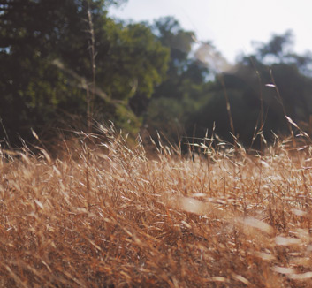 红遍大江南北：欧国联盛事精彩频传疯狂
