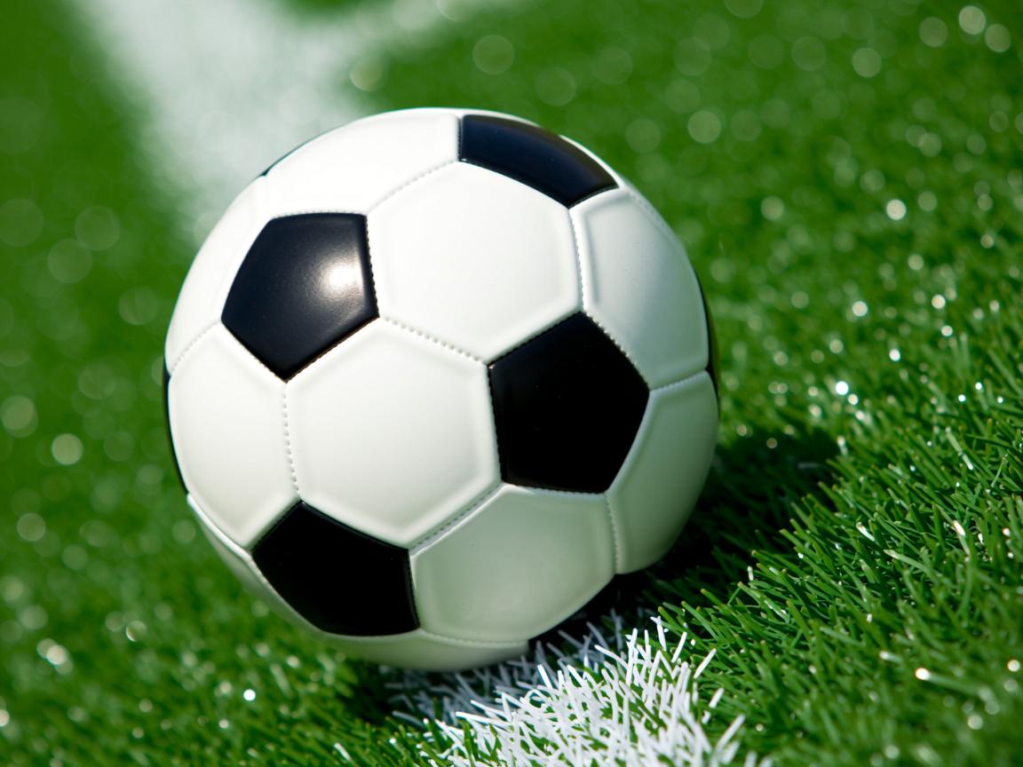 开云体育在线登入-中国女篮加速战术更新适应国际节奏，中国女篮加油视频  第2张